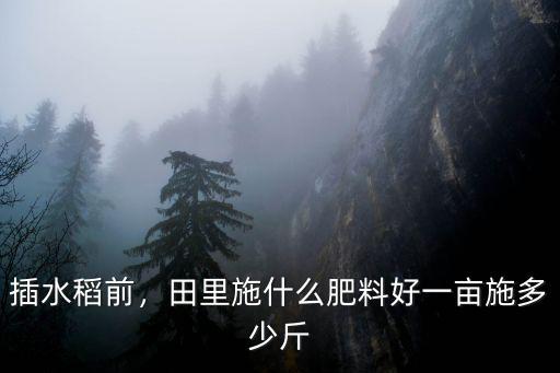 水稻專用復(fù)合肥哪種好多少錢,穗肥用復(fù)合肥好嗎