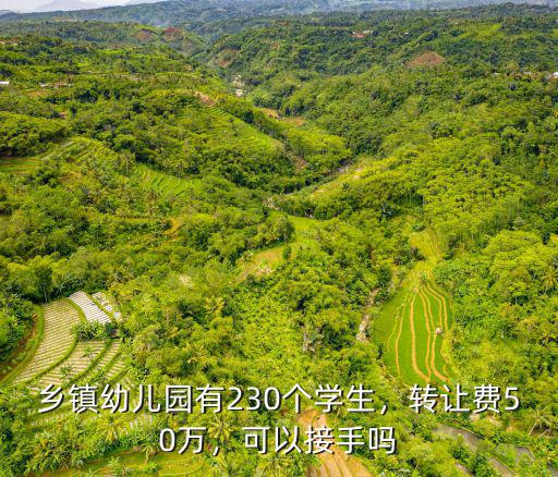 鄉(xiāng)鎮(zhèn)幼兒園有230個學(xué)生，轉(zhuǎn)讓費50萬，可以接手嗎