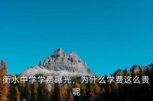 河北衡中一年學費多少錢,衡水一中復讀學費是多少錢