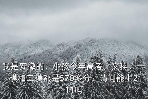 2019安徽高考文科最高分是多少,小孩今年高考