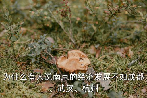 為什么有人說南京的經濟發展不如成都、武漢、杭州