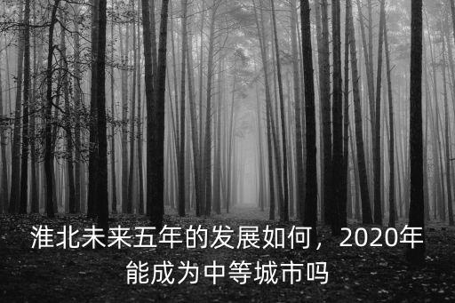 2020年泗洪淮北中學指標生有多少,淮北未來五年的發展如何