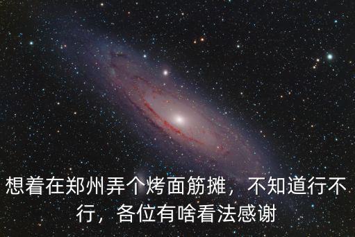 想著在鄭州弄個烤面筋攤，不知道行不行，各位有啥看法感謝