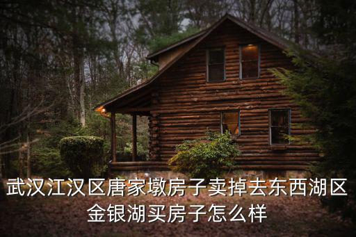 武漢江漢區唐家墩房子賣掉去東西湖區金銀湖買房子怎么樣