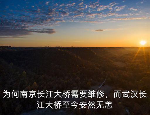 武漢長江大橋人多怎么回事,武漢長江大橋和南京長江大橋