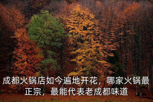 成都麻辣火鍋排行榜哪里好吃,成都哪家的火鍋最好吃