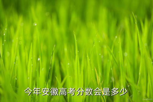 今年安徽高考分數會是多少