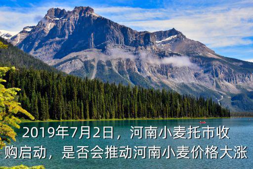 2019年7月2日，河南小麥托市收購啟動，是否會推動河南小麥價格大漲