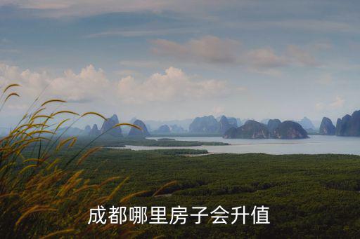 成都東邊哪里買房升值,成都哪里房子會升值