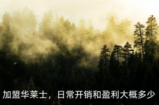 南陽華萊士怎么加盟費多少,怎么加盟華萊士多少錢