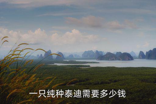 阜陽泰迪多少錢,一只純種泰迪需要多少錢