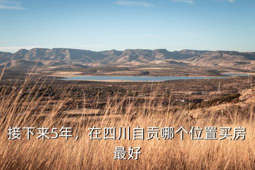 自貢在哪里房好些,在四川自貢哪個(gè)位置買房最好