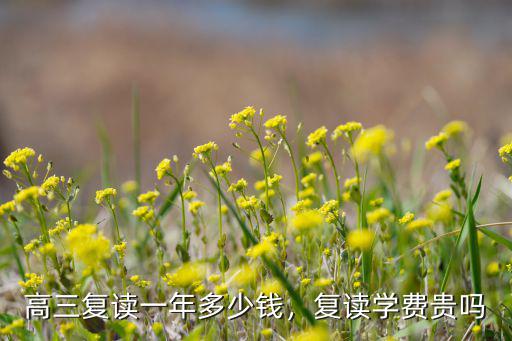 安徽歙州高中復讀費用一般多少錢,高三復讀一年多少錢