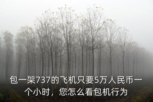 包一架737的飛機(jī)只要5萬(wàn)人民幣一個(gè)小時(shí)，您怎么看包機(jī)行為