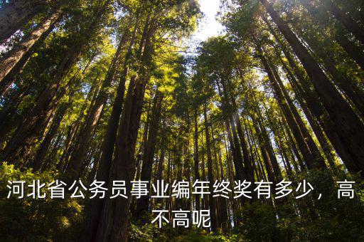 河北省公務員事業編年終獎有多少，高不高呢