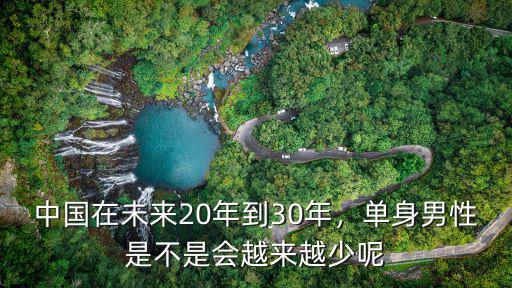 中國在未來20年到30年，單身男性是不是會越來越少呢