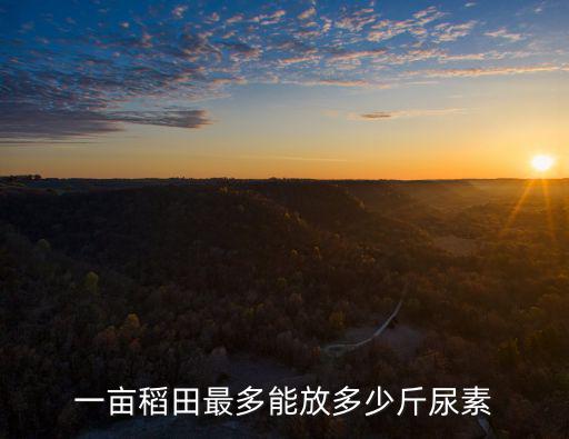 一畝稻田最多能放多少斤尿素