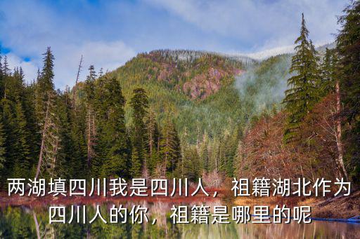 莉娃是四川哪里人,祖籍是哪里的呢