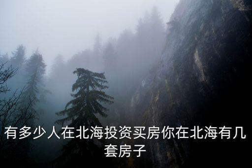 安徽人有多少在北海,有多少人在北海投資買房