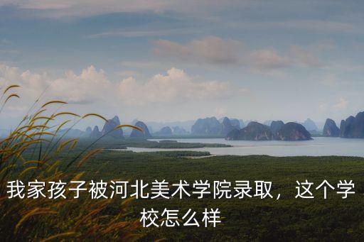 河北美術(shù)學(xué)院書法系學(xué)費(fèi)多少,河北美術(shù)學(xué)院怎么樣