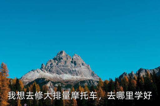 我想去修大排量摩托車，去哪里學好