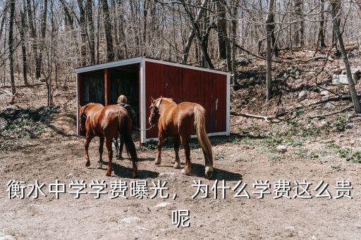 烏海市衡水中學學費多少錢,衡水一中復讀學費是多少錢