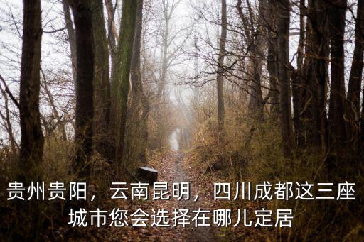 成都city在哪里,成都的天府新區在哪里