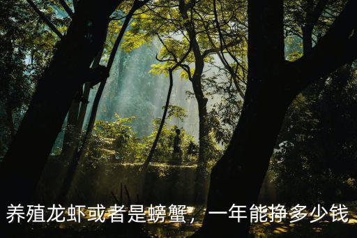 養殖龍蝦或者是螃蟹，一年能掙多少錢