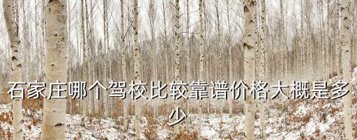 石家莊哪個駕校比較靠譜價格大概是多少