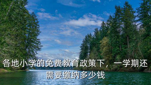 各地小學(xué)的免費(fèi)教育政策下，一學(xué)期還需要繳納多少錢