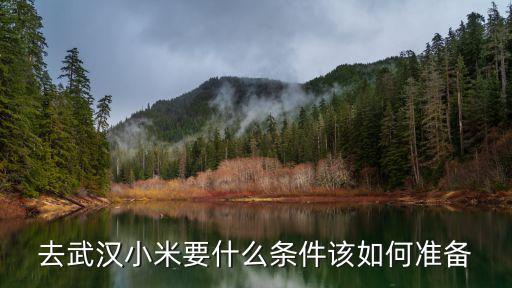 武漢小米青年旅舍怎么樣,武漢小米公司待遇怎么樣
