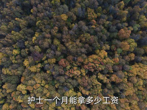 護士一個月能拿多少工資