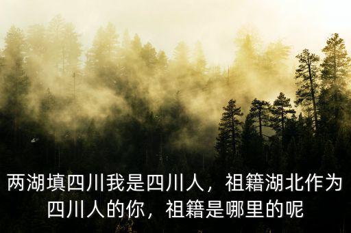 陳瑤祖籍四川哪里,祖籍是哪里的呢