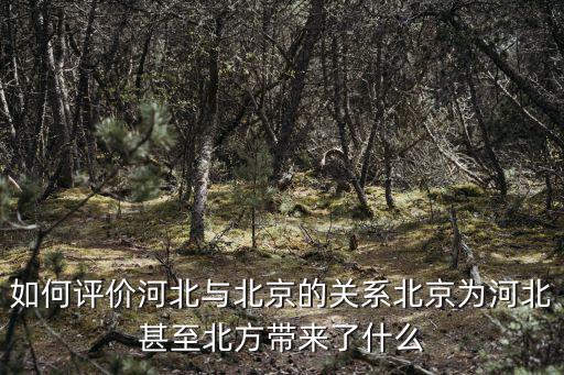 如何評價河北與北京的關系北京為河北甚至北方帶來了什么