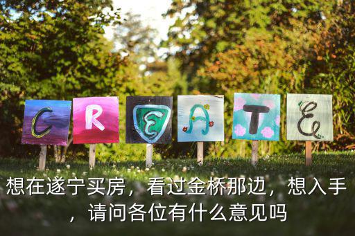 想在遂寧買房，看過金橋那邊，想入手，請問各位有什么意見嗎