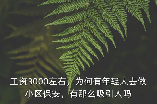 張家口保安工資一般多少,高級保安員工資一般是多少