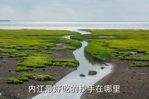 內江最好吃的抄手在哪里