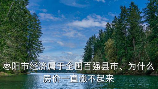 棗陽市經濟屬于全國百強縣市、為什么房價一直漲不起來