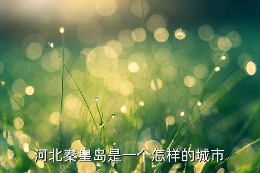 秦皇島是多少萬人的城市,河北秦皇島是一個怎樣的城市