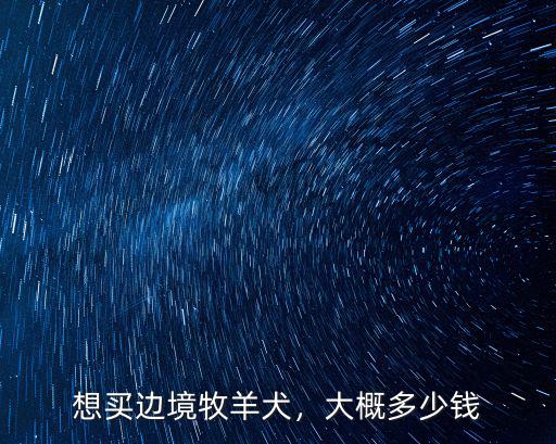 想買邊境牧羊犬，大概多少錢