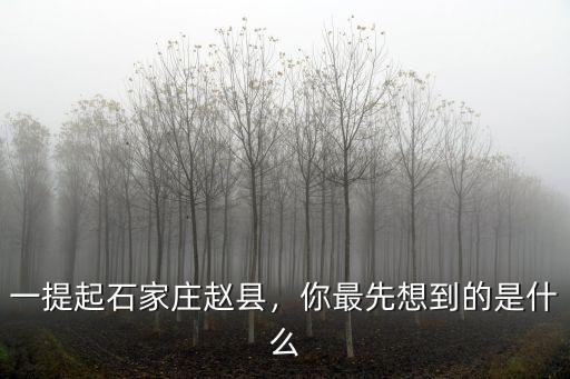 石家莊趙縣聘禮多少錢,石家莊井陘彩禮多少錢