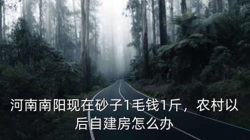 南陽現在哪里能玩沙,河南南陽現在砂子1毛錢1斤