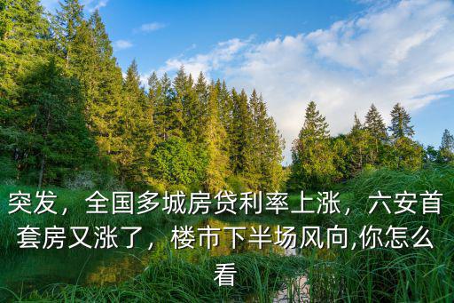 六安首套房利率是多少,六安首套房又漲了