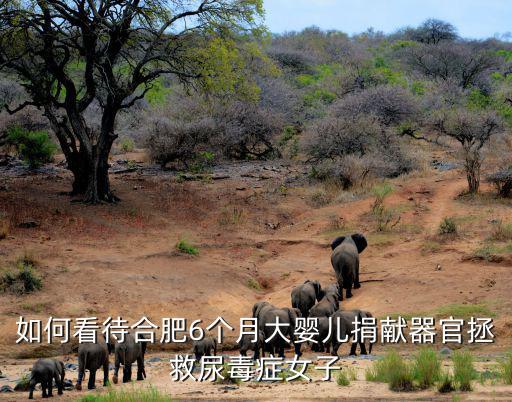 安徽器官捐獻多少人,提出要捐獻器官