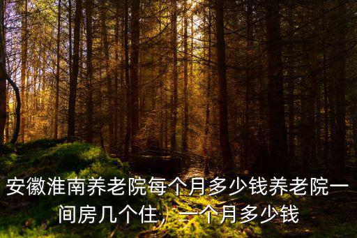 安徽養老院加盟費多少,安徽淮南養老院每個月多少錢