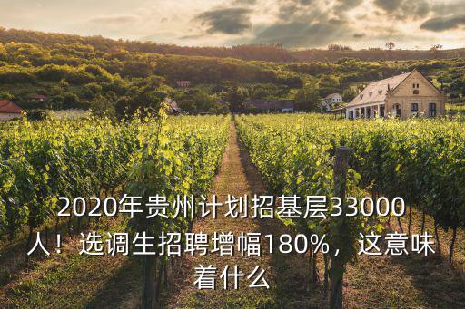 2020年貴州計劃招基層33000人！選調生招聘增幅180%，這意味著什么