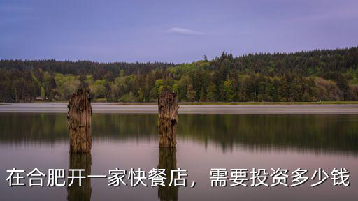 合肥快餐多少錢,需要投資多少錢