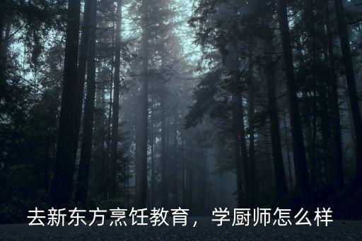 去新東方烹飪教育，學(xué)廚師怎么樣