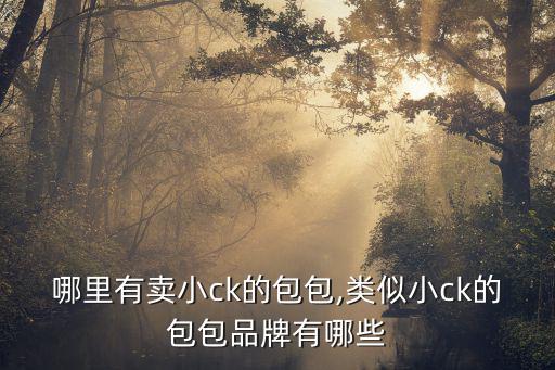 成都哪里有賣小ck的包包,類似小ck的包包品牌有哪些
