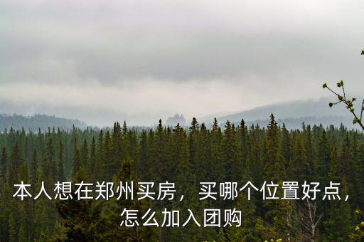 本人想在鄭州買房，買哪個位置好點，怎么加入團購